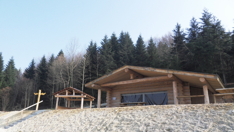 cabane forestire